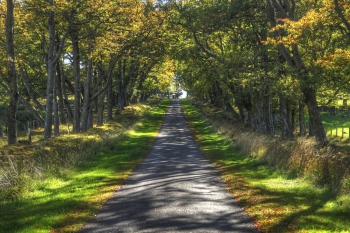 The Psychological Benefit of Financial Life Planning